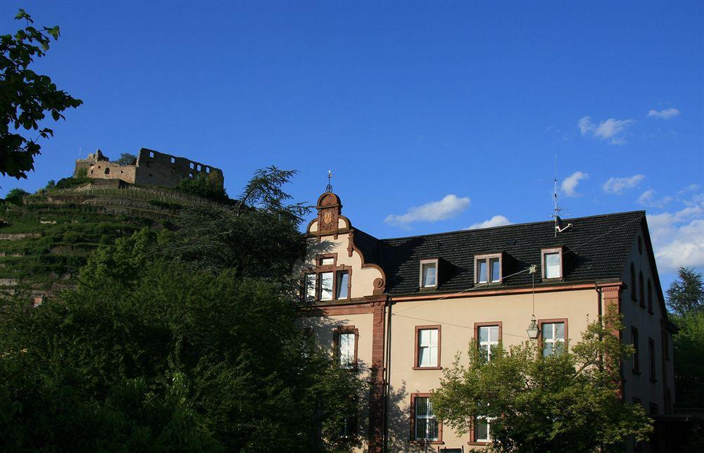 Gaestehaus Goethe Staufen im Breisgau Exterior photo